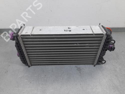 Intercooler OPEL CORSA F (P2JO) | BP22356014M30