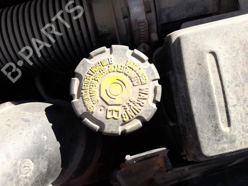 Used Brake master cylinder RENAULT CLIO III (BR0/1, CR0/1) 1.5 dCi (75 hp) 29891076