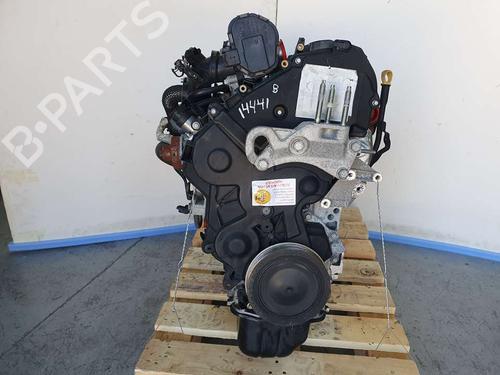 Motore FORD FIESTA VI (CB1, CCN) [2008-2017]  11276375