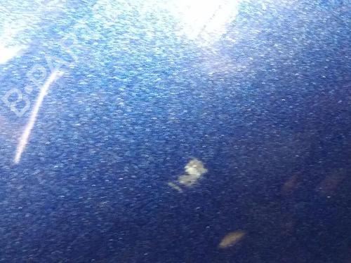 Right mirror BMW 3 (E90) 318 d | BP23956960C27 