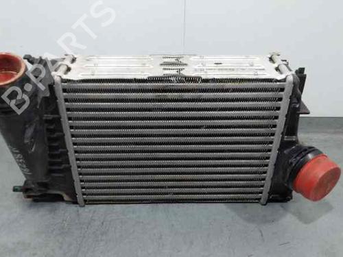 Intercooler RENAULT MEGANE IV Hatchback (B9A/M/N_) 1.3 TCe 140 (B9NB) (140 hp) 25050087