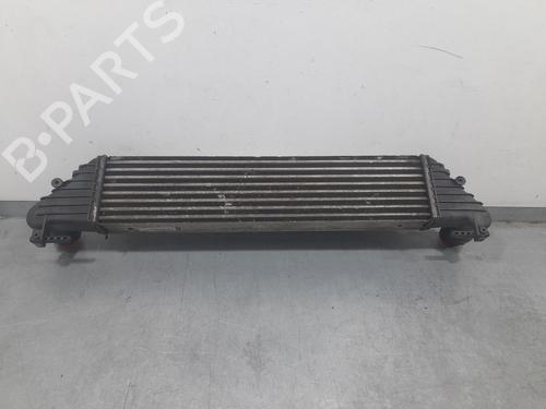 Intercooler FIAT TIPO Estate (356_, 357_) 1.4 (356WXF1B) | BP32026005M30 - Image 2