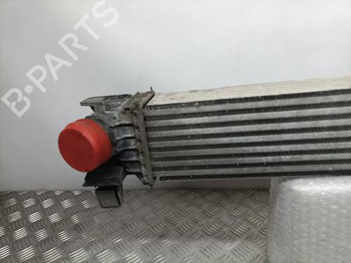 Intercooler CITROËN JUMPER II Van 2.0 BlueHDi 130 | BP15602996M30 