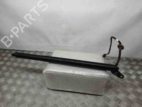 Used Tailgate lift support AUDI Q2 (GAB, GAG) 30 TFSI (115 hp) 23955785