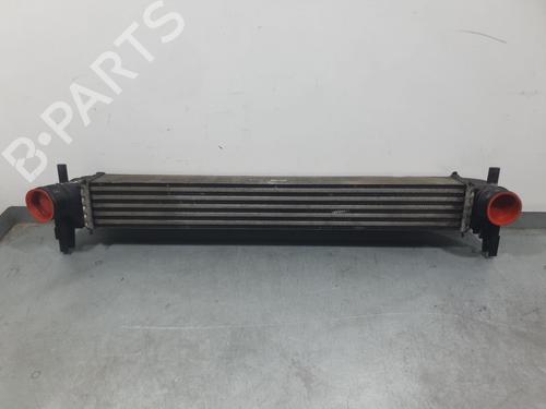 Used Intercooler Intercooler VW POLO V (6R1, 6C1) 1.6 TDI (90 hp) 30836067 30836067