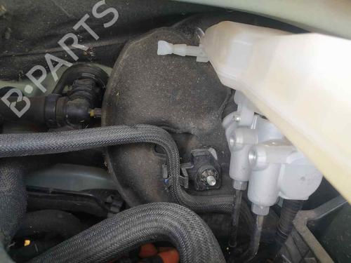 Used Servo brake PEUGEOT 208 II (UB_, UP_, UW_, UJ_) [2019-2025]  24122846