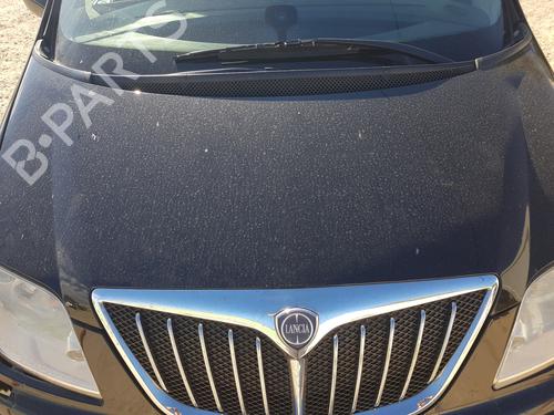 Used Hood LANCIA PHEDRA (179_) [2002-2010]  20706241