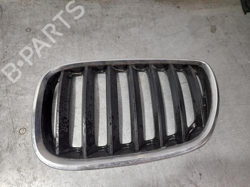 Used Grille BMW X5 (E53) [2000-2006]  10037833