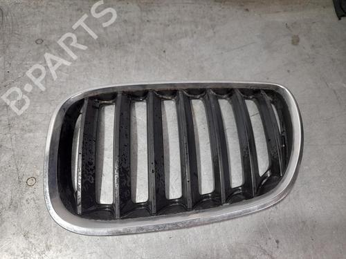 Front grille BMW X5 (E53) 3.0 d (218 hp) 10037833