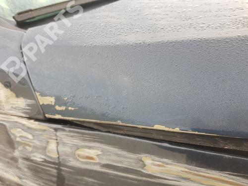 Hood VW PASSAT B6 (3C2)  | BP11347248C1 