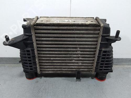 Used Intercooler RENAULT CLIO III Grandtour (KR0/1_) 1.2 16V (KR0P) (101 hp) 19651138