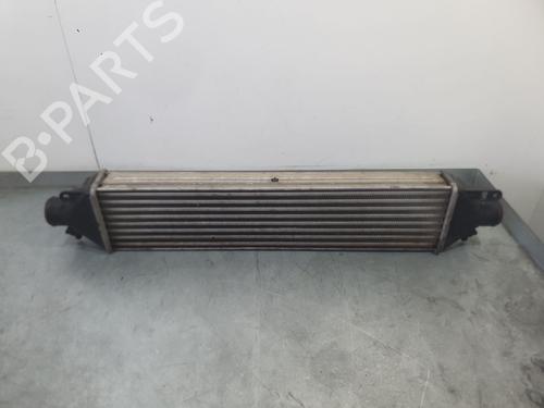 Intercooler FIAT DOBLO Cargo (263_) 1.3 D Multijet | BP37183263M30 - Image 2