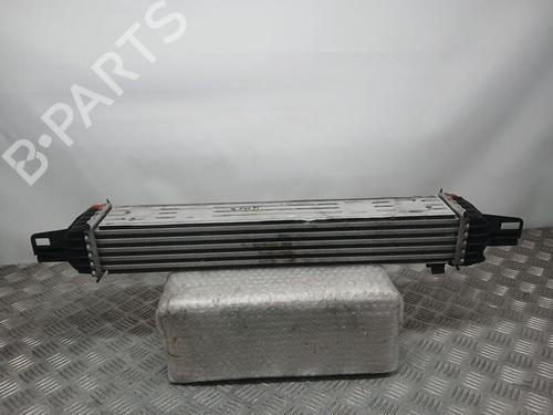 Intercooler FIAT FIORINO Box Body/MPV (225_)  | BP23080703M30 