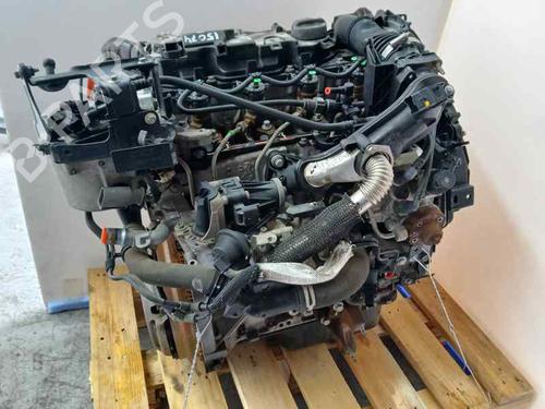Engine FORD FIESTA VI (CB1, CCN)  | BP15558339M1 
