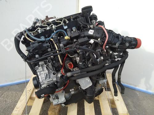 Engine BMW 1 (F40) | BP30625929M1 - Image 2