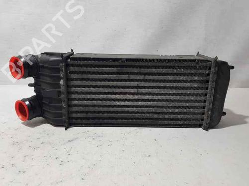 Intercooler PEUGEOT 207 (WA_, WC_) [2006-2015]  6934933