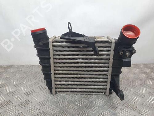 BP17955829M30 | Intercooler VW POLO (9N_, 9A_) 1.4 TDI BP17955829M30