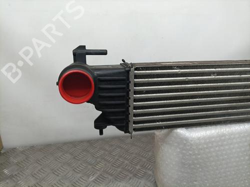 Intercooler FIAT TIPO Estate (356_, 357_)  | BP13751145M30 