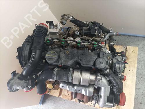 Engine FORD FIESTA VI (CB1, CCN)  | BP6138399M1 
