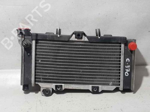 Used Water radiator KYMCO MOTORCYCLES VENOX Venox 250 (R2) (27 hp) 24671941
