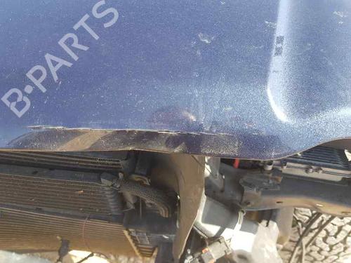 Hood JEEP GRAND CHEROKEE III (WH, WK)  | BP23955720C1