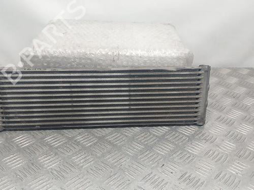 Used Oil radiator MERCEDES-BENZ VITO Tourer (W447) 114 CDI / 114 BlueTEC (447.701, 447.703, 447.705) (136 hp) 25032509
