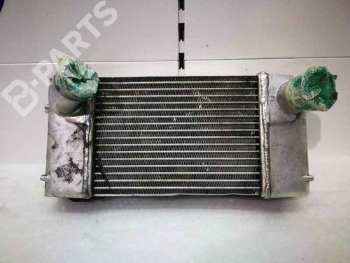 BP1245278M30 | Intercooler radiateur LAND ROVER RANGE ROVER I 2.5 TD 4x4 BP1245278M30