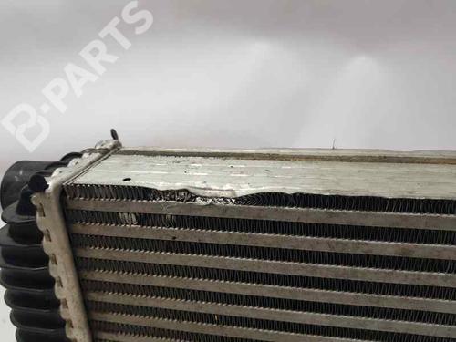 Intercooler FORD TOURNEO CONNECT  | BP8251287M30 