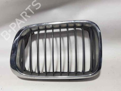 Used Grille BMW 3 (E46) 318 i (118 hp) 6776259
