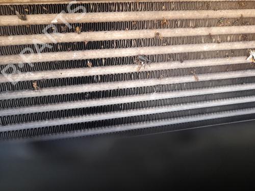 Ladeluftkühler für FIAT BRAVO II (198_) 1.9 D Multijet (198AXC1B) (150 hp) 31190607