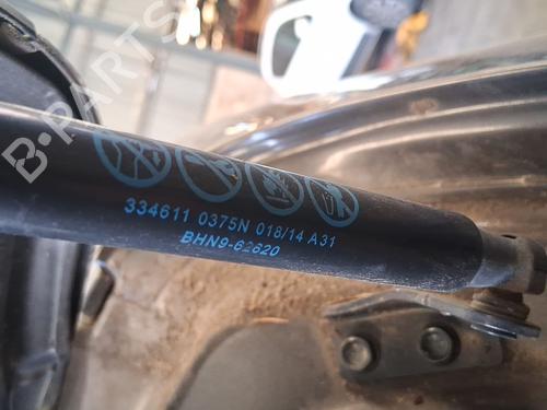 tailgate-lift-support-mazda-3-bm-bn-2013-2014-2015-2016-2017-2018-2019-38302931 main image