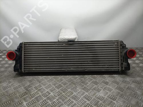 Intercooler MERCEDES-BENZ SPRINTER 5-t Platform/Chassis (B907) 511 CDI (907.153, 907.155, 907.253, 907.255) (114 hp) 10366077