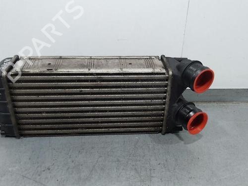Intercooler CITROËN BERLINGO MULTISPACE (B9) 1.6 HDi 115 (114 hp) 24175087