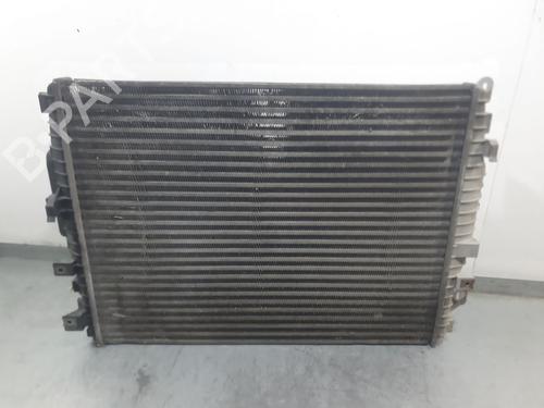 Intercooler JAGUAR XF I (X250) 2.7 D | BP29712184M30 - Image 2