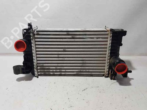 Intercooler OPEL MERIVA B MPV (S10) [2010-2017]  6784902
