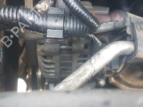 Used Alternator NISSAN X-TRAIL I (T30) [2001-2013]  12499428