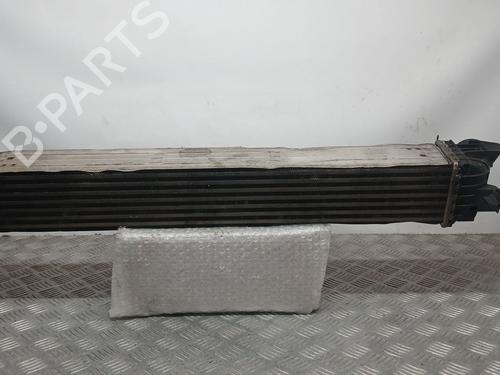 Intercooler CITROËN JUMPER II Van 2.2 HDi 110 | BP25769325M30 