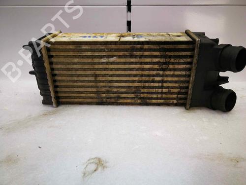 AC radiator SANTANA 300/350 1.6 HDi 4x4 | BP12565018M32 