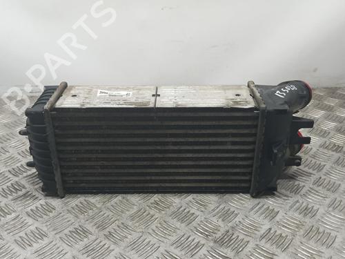 Intercooler CITROËN XSARA PICASSO (N68) 1.6 HDi | BP11966904M30 