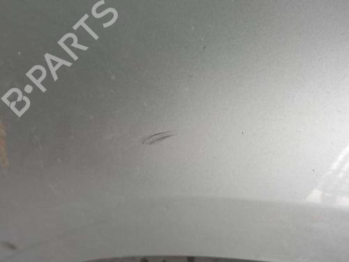 Left front fenders RENAULT SCÉNIC III (JZ0/1_) | BP16037402C41