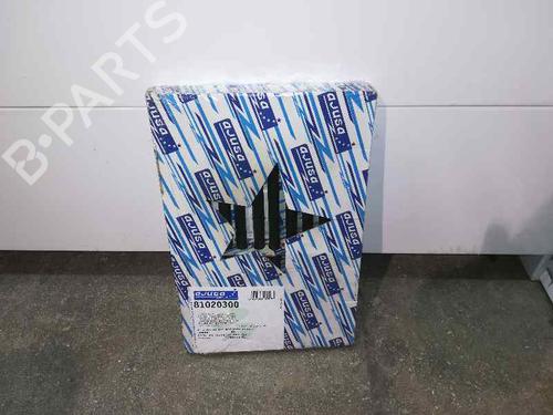 Cylinder head FIAT BRAVO I (182_)  | BP12498945M5 