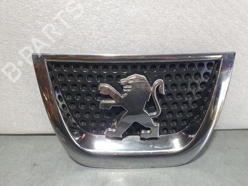 Grill / Grid PEUGEOT 3008 MPV (0U_) 1.6 HDi (114 hp) 15061976