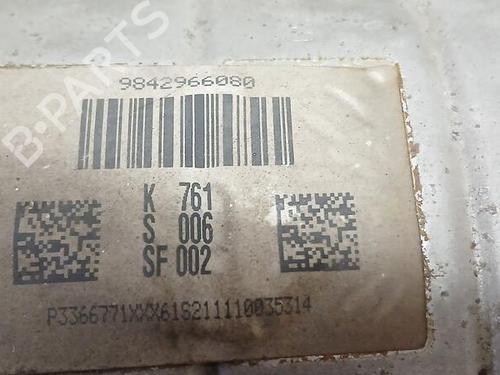 Particulate filter PEUGEOT EXPERT Van (V_)  | BP29463573M81 