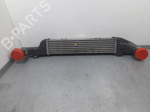 Used Intercooler MERCEDES-BENZ E-CLASS (W210) [1995-2003]  19680895