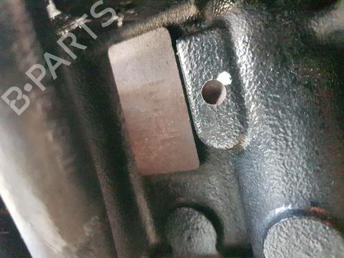 Engine NISSAN NV200 Van 1.5 dCi 85 (M20, M20N, M20M) | BP25032506M1 