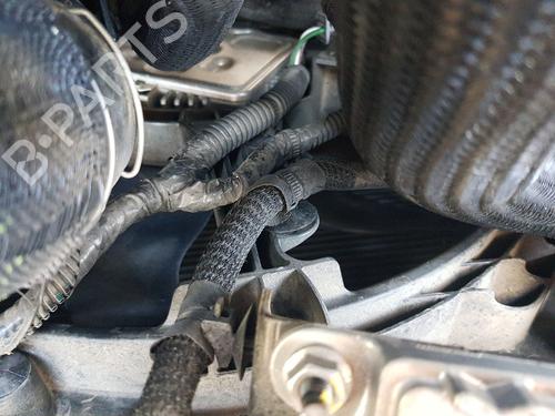 Used Radiator fan Radiator fan RENAULT EXPRESS Box Body/MPV 1.5 Blue dCi 75 (F6AA) (75 hp) 33626131 33626131