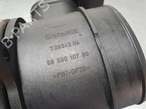 Mass air flow sensor CITROËN BERLINGO MULTISPACE (B9) | BP13624027M95