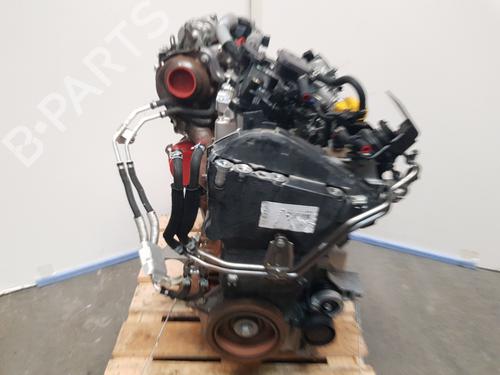 Used Engine RENAULT EXPRESS Box Body/MPV 1.5 Blue dCi 95 (F6AB) (95 hp) 24673887