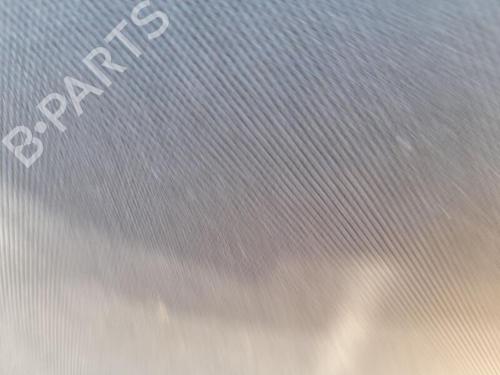 Used Rear right window mechanism RENAULT MEGANE II (BM0/1_, CM0/1_) [2001-2012]  30181814