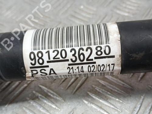 Left front driveshaft CITROËN C-ELYSEE (DD_) | BP20111662M38 - Image 4